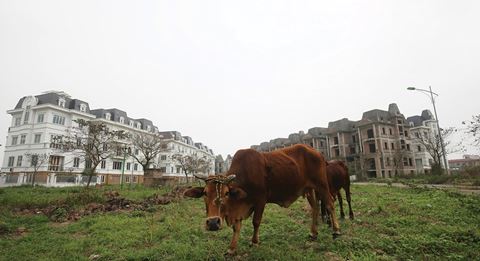 Nợ xấu và phép thử của nguyên tắc thị trường